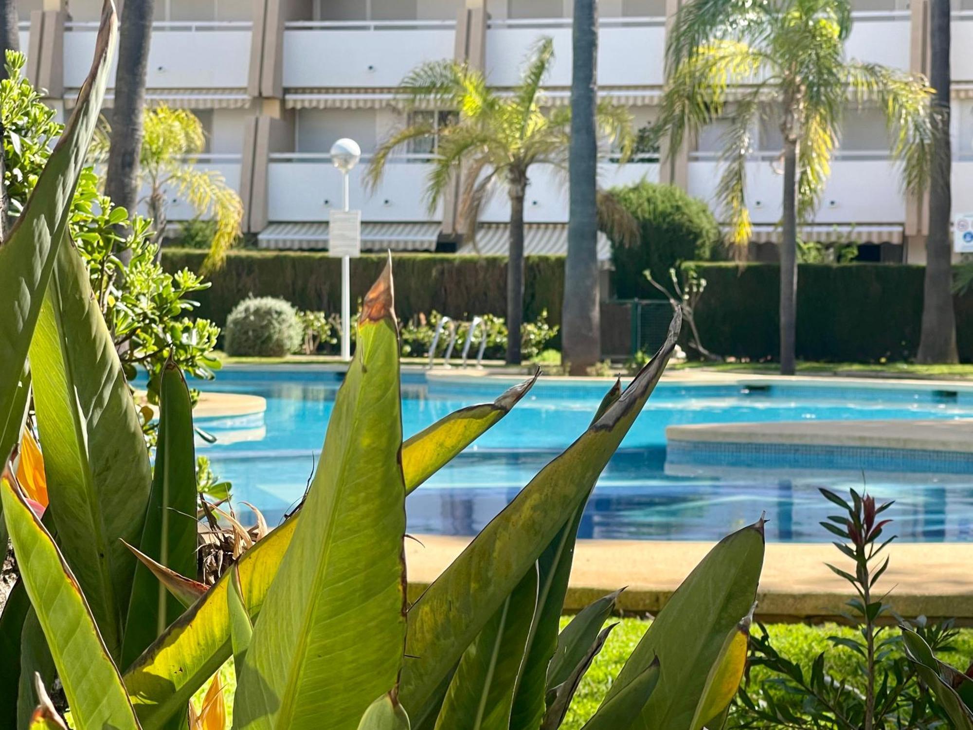 The Beach House Playa Del Arenal Javea - Pool And Garden Steps From The Beach Platja de Larenal Extérieur photo